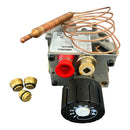 Gasamatur Robur TS2000