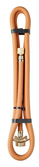 Slange, 2 M M/Stjerneomløber